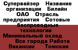 Супервайзер › Название организации ­ Билайн, ОАО › Отрасль предприятия ­ Сотовые, беспроводные технологии › Минимальный оклад ­ 13 000 - Все города Работа » Вакансии   . Томская обл.,Кедровый г.